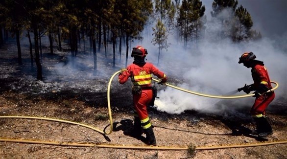 رجال إنقاذ فرنسيون يشاركون في إخماد الحرائق (24)
