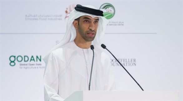 وزير التغير المناخي والبيئة الدكتور ثاني بن أحمد الزيودي (أرشيف)