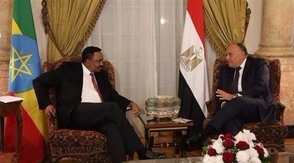 وزيرا الخارجية المصري والأثيوبي أثناء لقائهما في القاهرة (من المصدر)