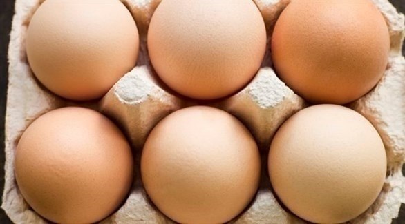 تحتوي البيضة الكبيرة على 186 ملغ من الكولسترول