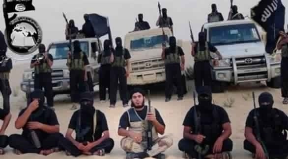 تنظيم داعش في سيناء (أرشيفية)
