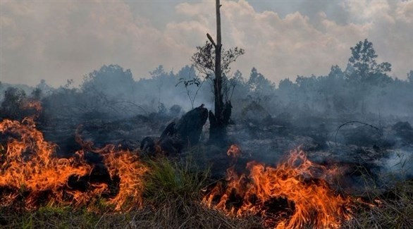 حرائق لا تزال مشتعلة في إندونيسيا (أ ف ب)
