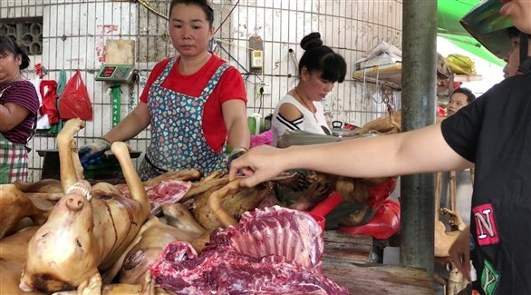 سوقاً لبيع الكلاب المذبوحة في كوريا الجنوبية (أ ف ب)