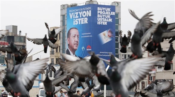مجموعة من الحمام تطير بجانب صورة لأردوغان في اسطنبول (رويترز)