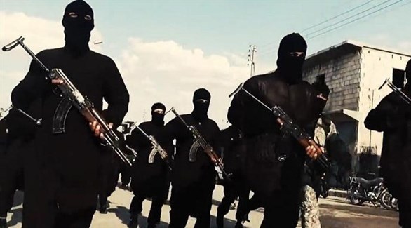 تنظيم داعش الإرهابي في العراق وسوريا (أرشيف)