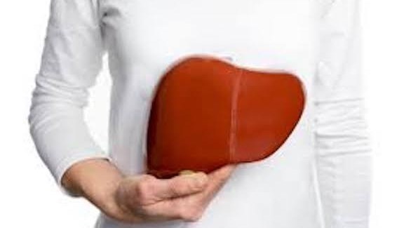 يعتبر الكبد من أكثر أجهزة الجسم حيوية (ديلي ستار)