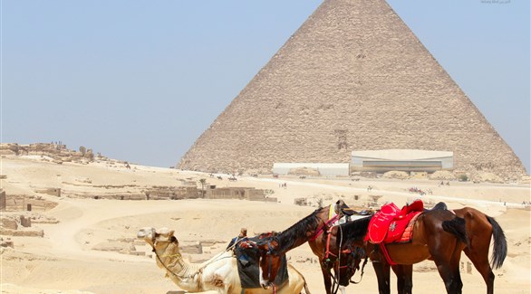 أزمة تراجع السياحة في مصر