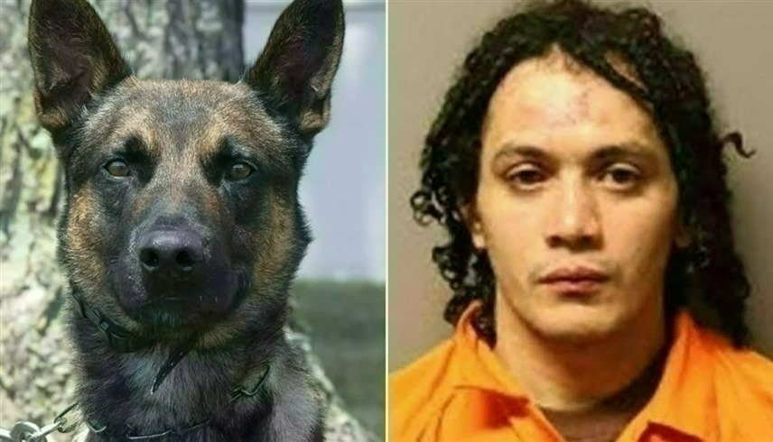 كلب يُعيد قاتلاً هارباً إلى السجن (مجلة بيبول)