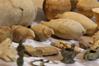 قطع أثرية مستردة من قبل السلطات العراقية في المتحف الوطني ببغداد