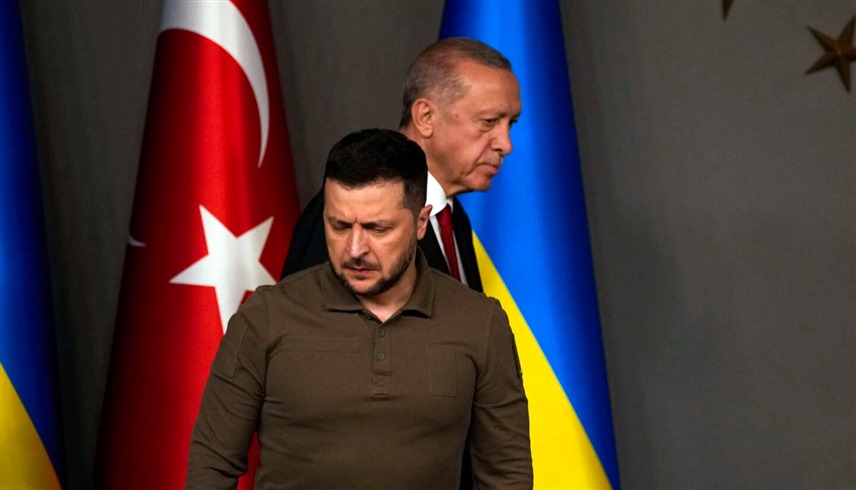 الرئيسان التركي والأوكراني (أ.ف.ب)
