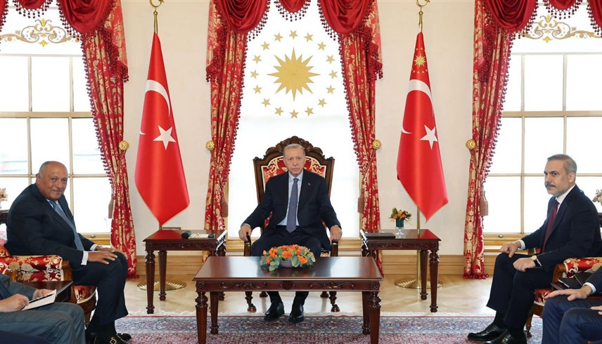 جانب من لقاء أردوغان وسامح شكري (الخارجية المصرية)