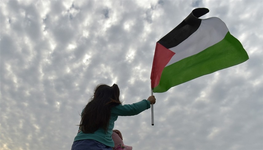 طفلة ترفع علم فلسطين (أرشيف)