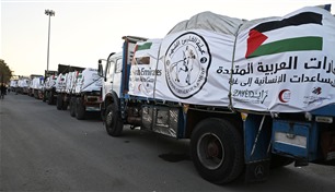 وصول سفينة إماراتية تحمل 400 طن من المعونات لدعم غزة