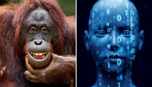 بالذكاء الاصطناعي.. البشر يقتربون من محادثة الحيوانات
