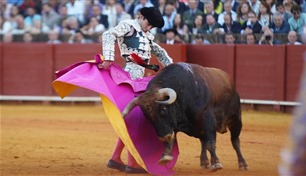 إسبانيا تلغي الجائزة الوطنية لمصارعة الثيران