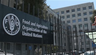 "فاو" تشيد بدعم الإمارات لخطة الاستجابة الإنسانية في السودان
