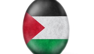 "بيضة الرقم القياسي العالمي" تتلون بعلم فلسطين 