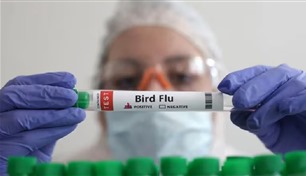 بمتحور من إنفلونزا الطيور.. الصحة العالمية تؤكد أول وفاة بشرية 
