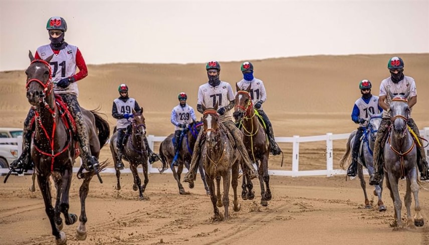 كأس الإمارات للخيول العربية للقدرة (وام)