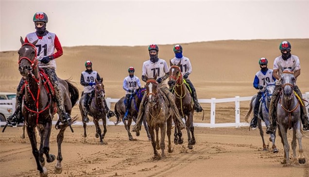 كأس الإمارات للخيول العربية للقدرة تنطلق الأحد