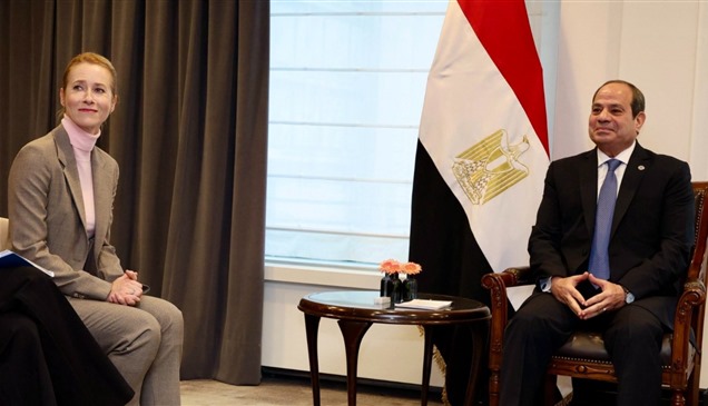 السيسي: مصر تنتهج سياسة حكيمة بعيداً عن "المصالح الضيقة"