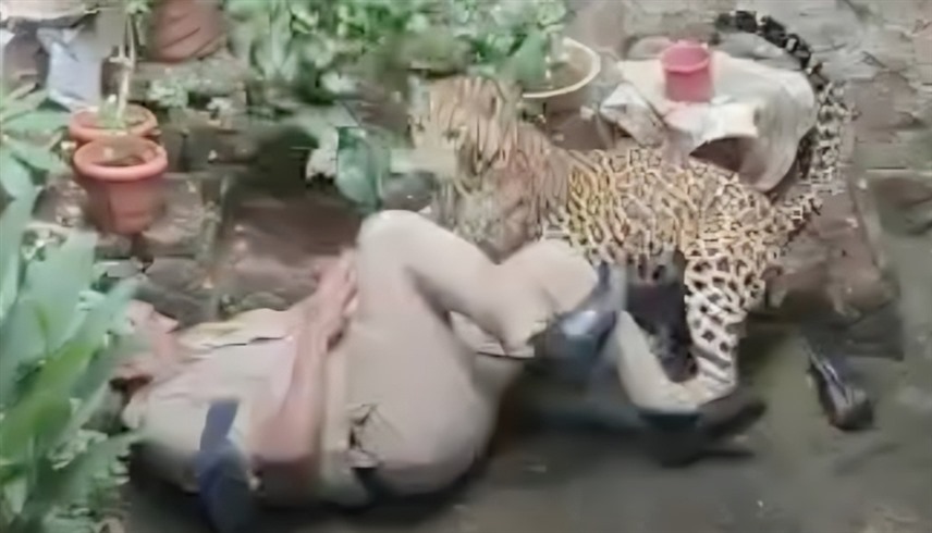لقطة من الفيديو
