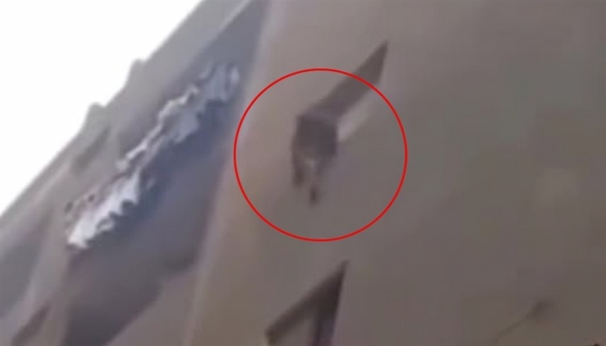 لقطة من الفيديو