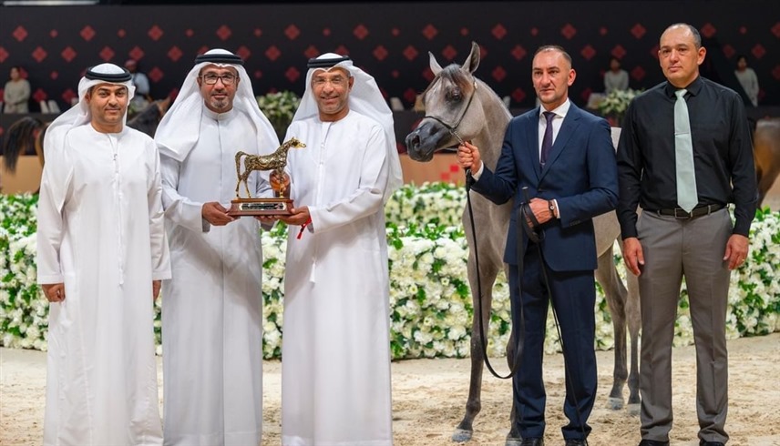 بطولة أبوظبي الدولية لجمال الخيل العربية (وام)