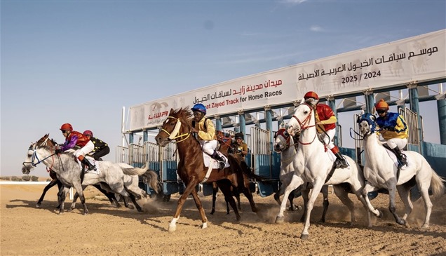 "سفير الثاني" و"الظفرة" بطلا السباق الثامن للخيول العربية في مدينة زايد