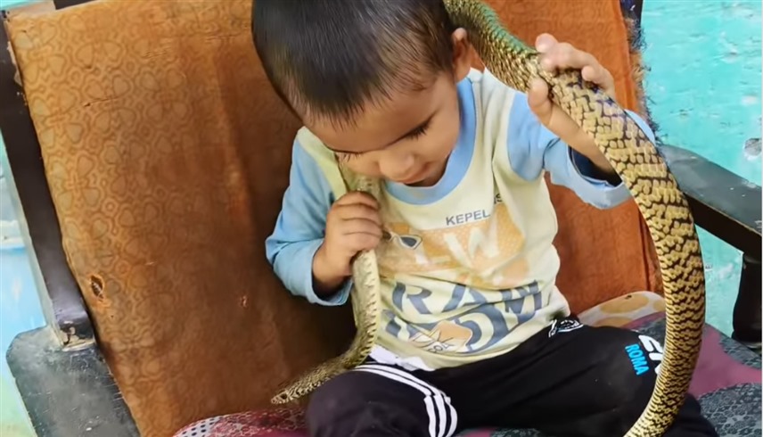 لقطة من الفيديو