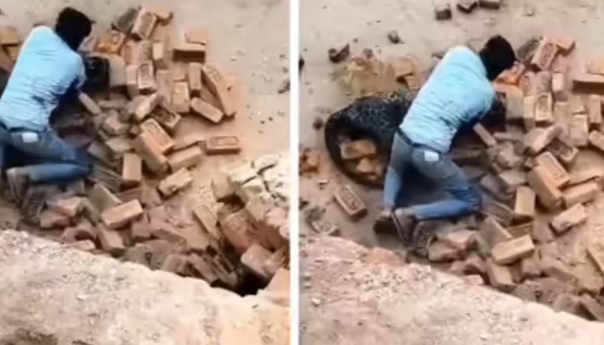 لقطات من الفيديو