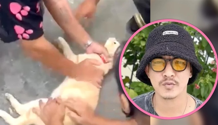 إشادة واسعة برجل أنقذ قطاً من موت محقق