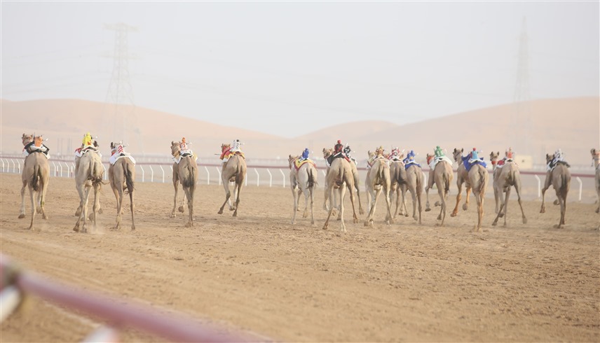 مهرجان العين لسباقات الهجن (وام)
