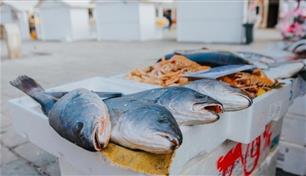 من المستشفيات إلى نهر دجلة.. التلوث يهدد الثروة السمكية في العراق