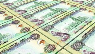 الإمارات.. 120% نسبة تغطية القاعدة النقدية بالاحتياطيات الأجنبية في 2026