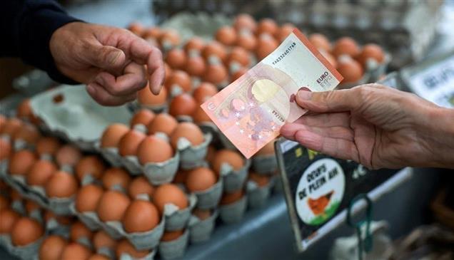 السالمونيلا تعيد البيض المستورد إلى دائرة الشك في بريطانيا
