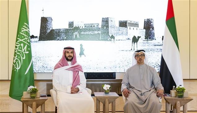 منصور بن زايد يبحث مع وزير الدفاع السعودي التطورات في المنطقة