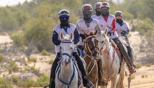 افتتاح كأس رئيس الدولة للقدرة بقرية الإمارات العالمية بالوثبة الجمعة