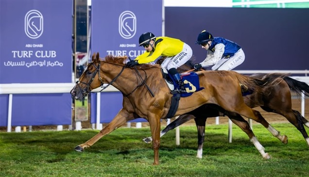 "نخبة الخيول" تتنافس على لقب سباق كأس أبوظبي الذهبي السبت