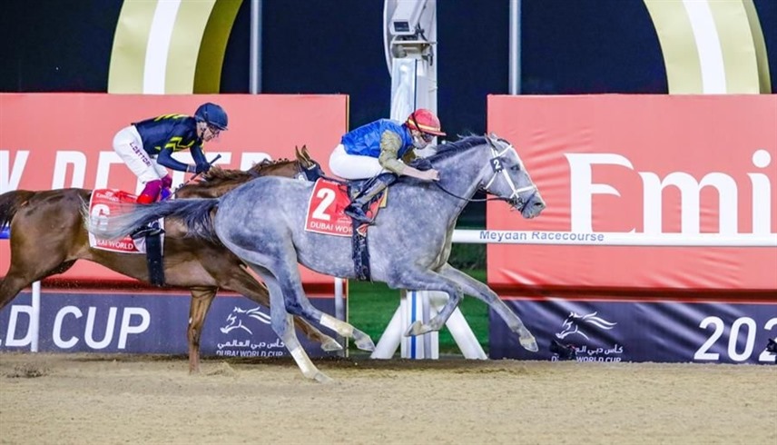 من منافسات كأس دبي العالمي لسباق الخيل (وام)
