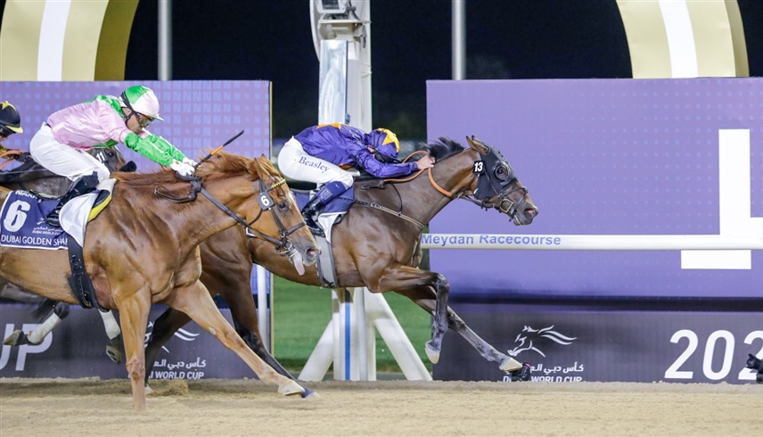 من منافسات كأس دبي العالمي لسباق الخيل (وام)