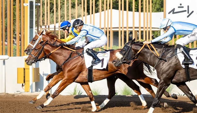 مشاركة 971 خيلاً في 26 سباقاً تجريبياً بمضامير الإمارات 