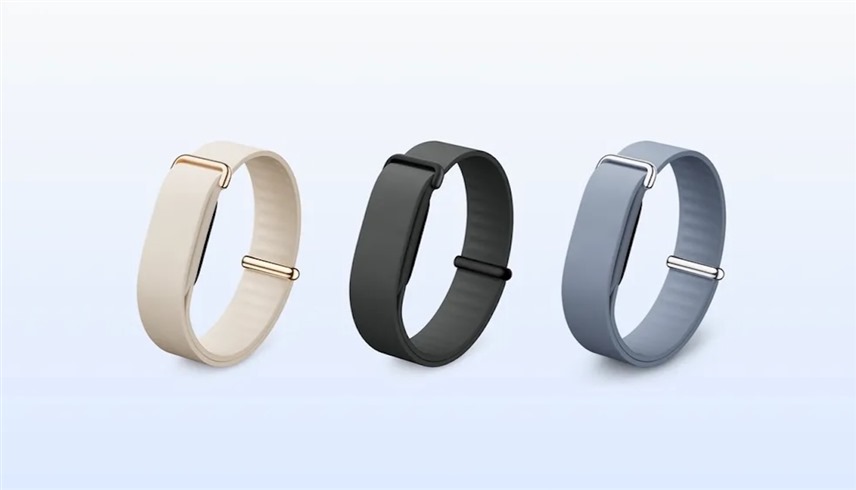 أساور Fitbit Air