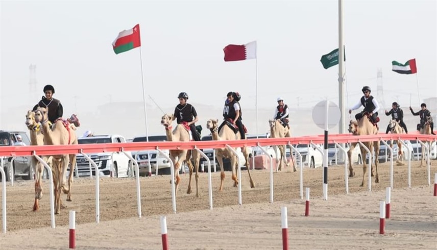 من المنافسات (وام)