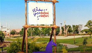 بين زئير الأسود وهدوء الغروب.. "سفاري دبي" تقدم تجربة إفطار استثنائية