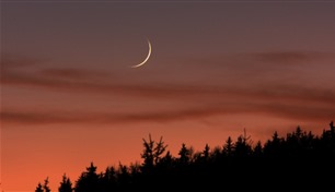 الإمارات تعلن عطلة عيد الأضحى للقطاع الخاص