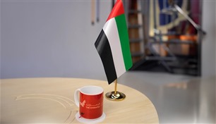 الإمارات أمام مجلس الأمن: استهداف محطة براكة تصعيد خطير و"أمر مشين" 