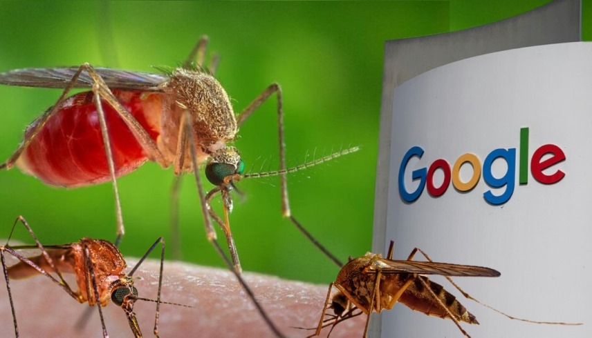 غوغل ومبادرة "Debug"