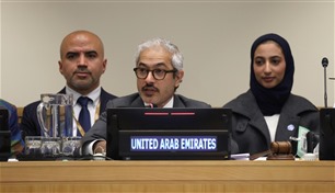 الإمارات تؤكد التزامها بتنظيم مؤتمر أممي لتعزيز العدالة الجنائية
