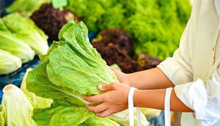 ولاية ميشيغان الأكثر تضرراً مُسجلةَ 5002 حالة إصابة 